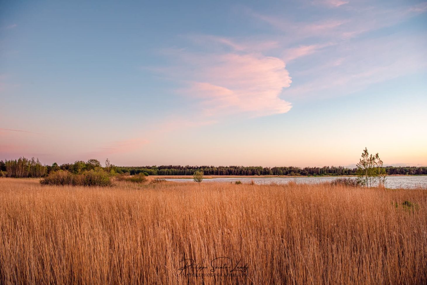 Un buste dans les nuages de ce coucher de soleil en Estonie