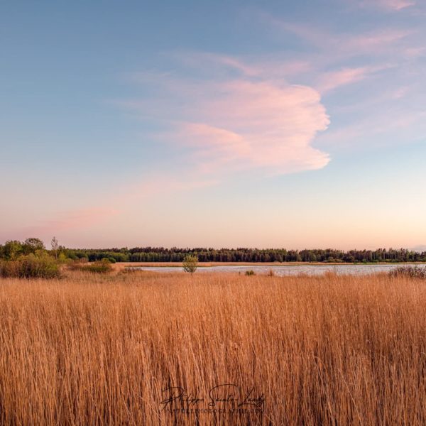 Bust in the sky Un buste dans les nuages de ce coucher de soleil en Estonie