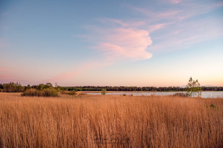 Un buste dans les nuages de ce coucher de soleil en Estonie