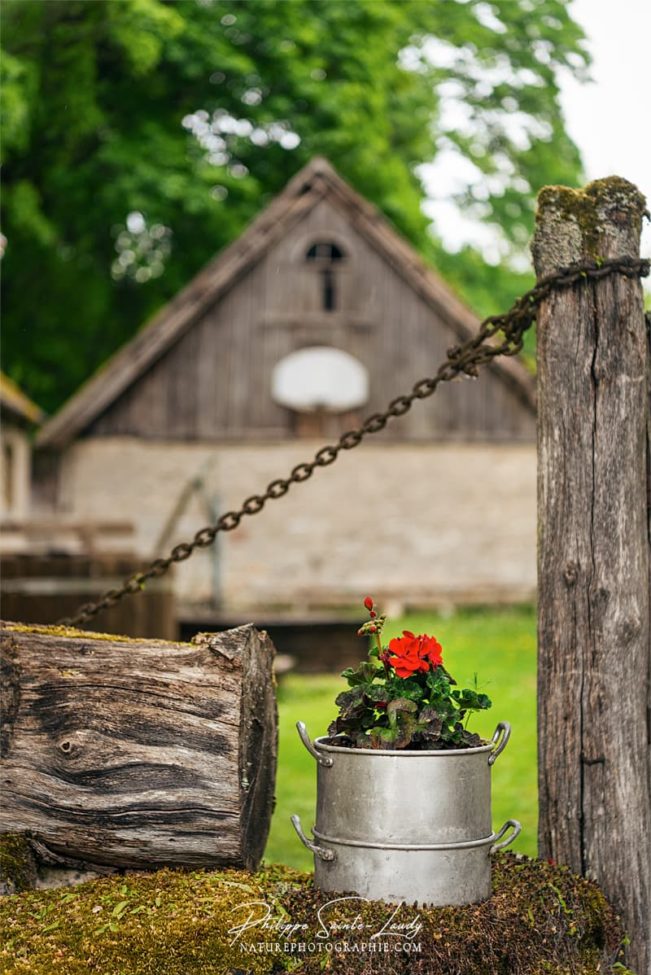 Des fleurs à l'entrée d'une ferme en Estonie