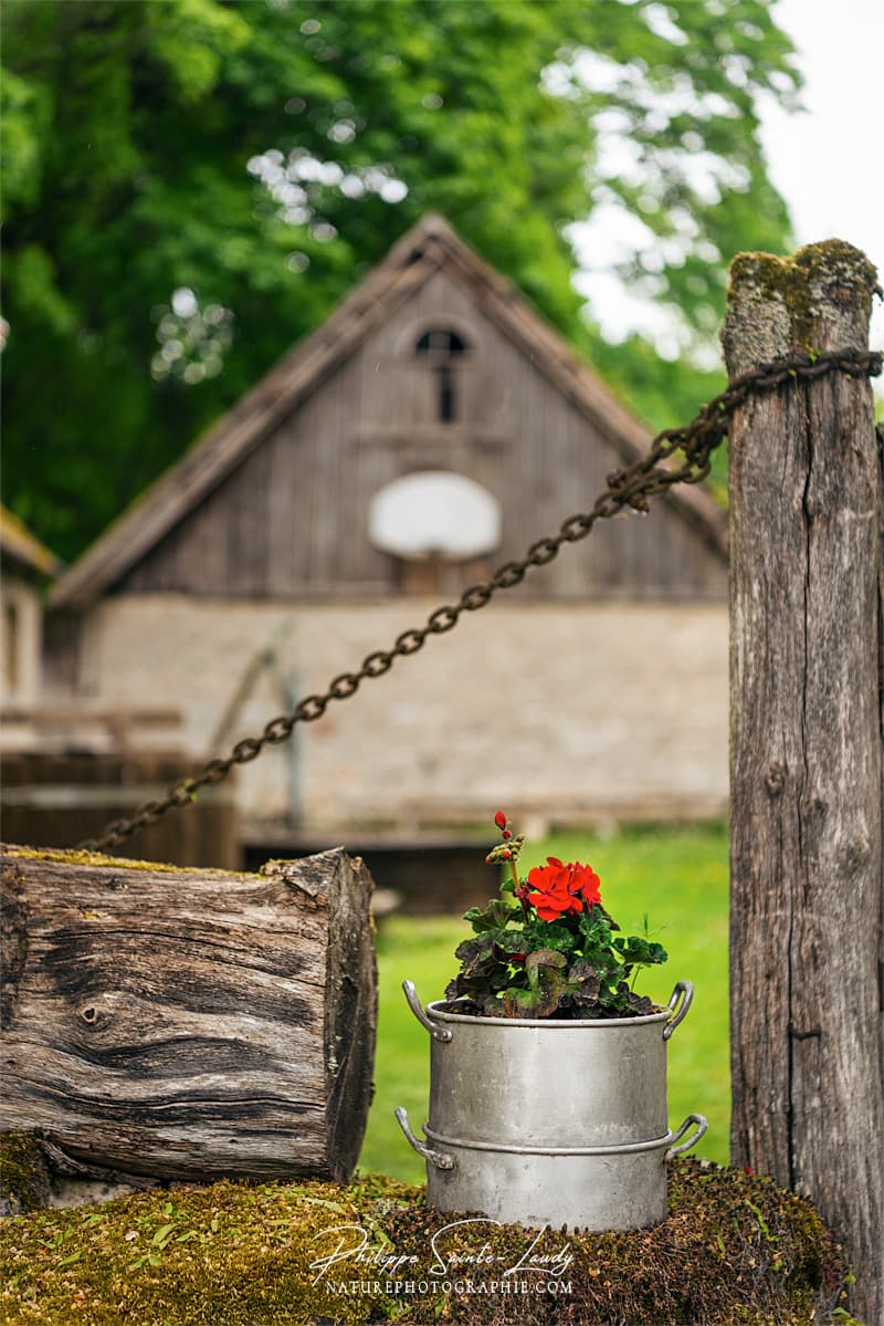 Des fleurs à l'entrée d'une ferme en Estonie