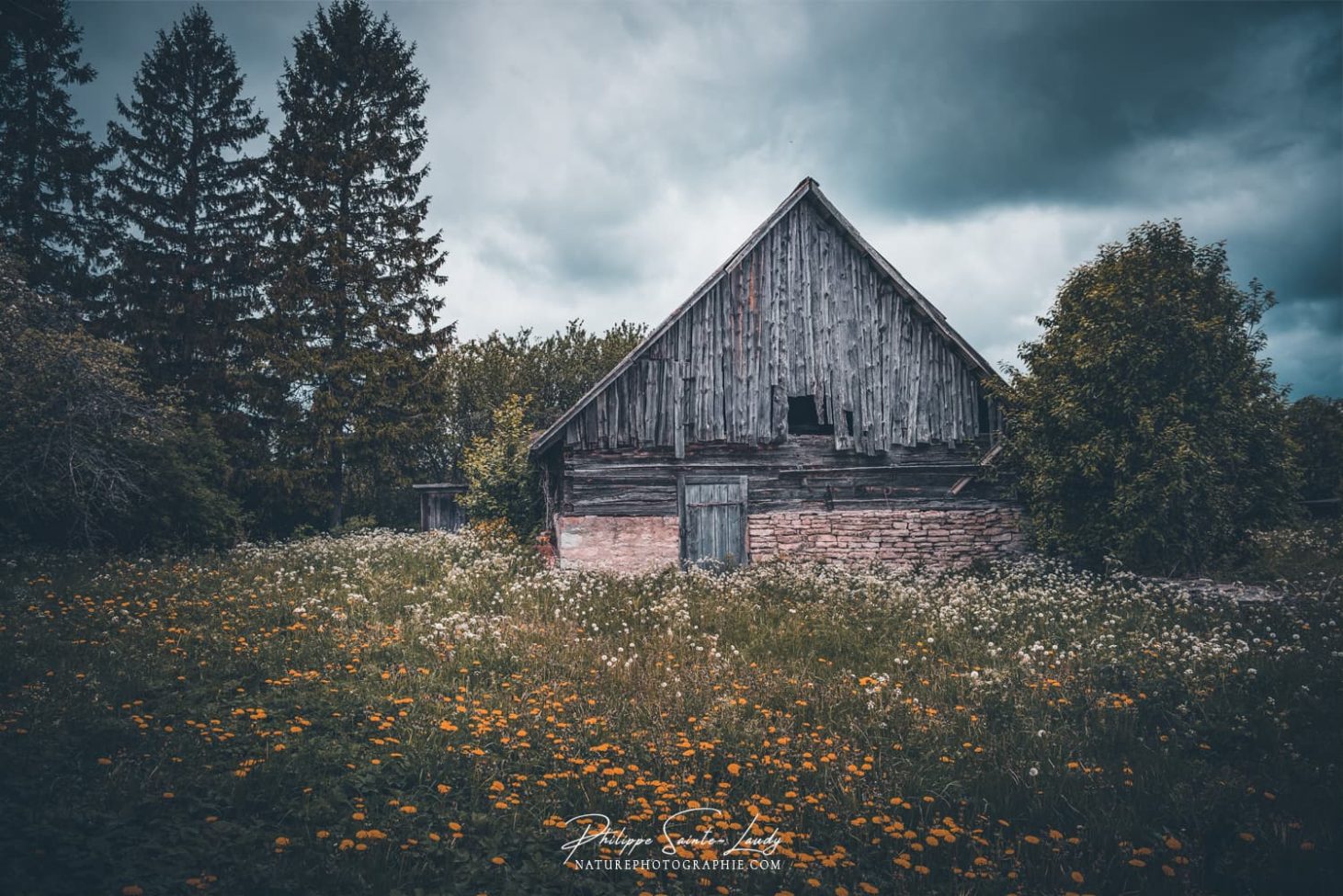 Une vieille ferme en Estonie sur l'île de Saaremaa