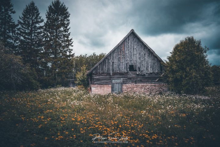 Une vieille ferme en Estonie sur l'île de Saaremaa