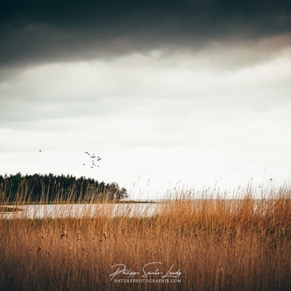 Don’t Walk Away Les bords de la mer baltique en Estonie