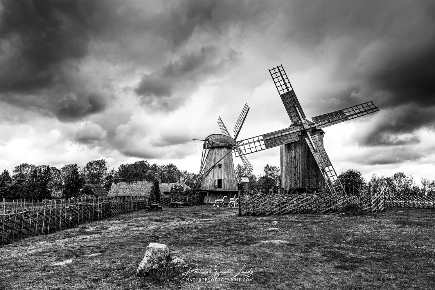 Photos Noir Et Blanc La Galerie Photo De Nature Photographie