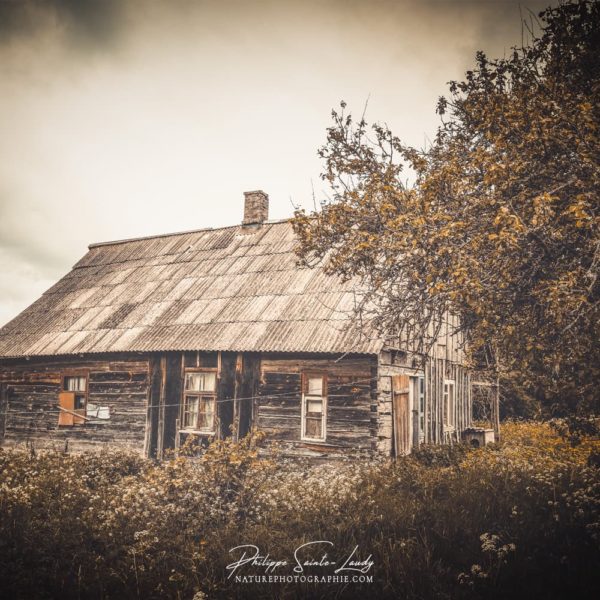 Dust to Dust Une ferme en Estonie