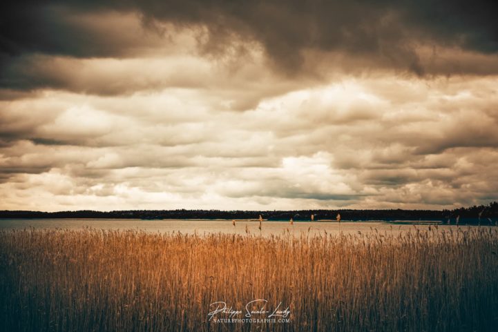 Heure dorée sur les bords de la baltique dans le golfe de Finlande