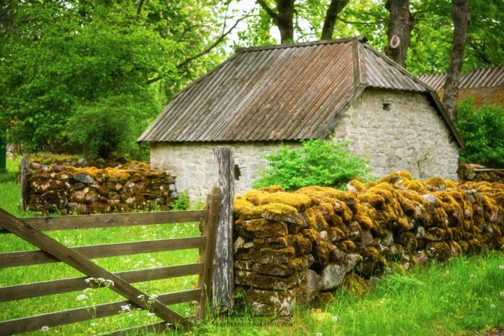 Vieux mur de pierres en Estonie
