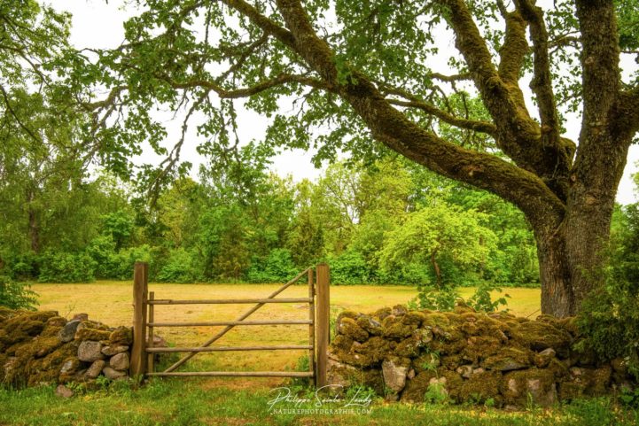 Barrière dans la campagne en Estonie