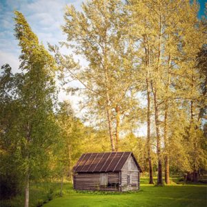 Greenery Box Écrin de verdure en Estonie