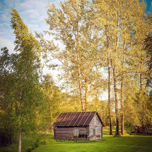 Greenery Box Écrin de verdure en Estonie