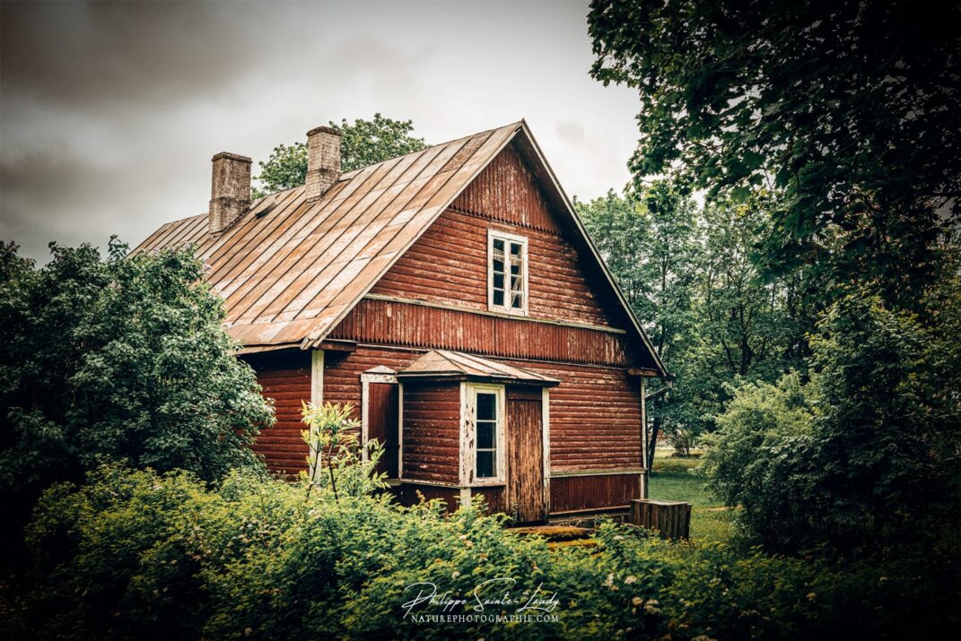 Une maison cachée par la végétation en Estonie