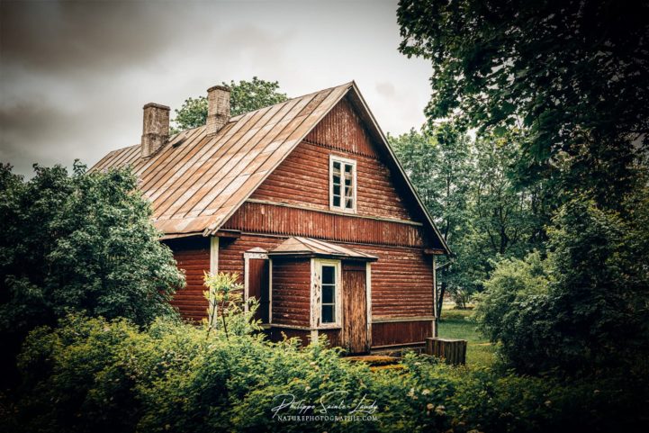 Une maison cachée par la végétation en Estonie