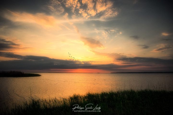 Coucher de soleil sur les marais d'Estonie
