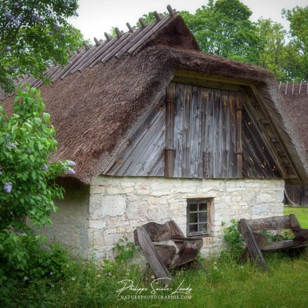 Lilac for Decoration Deux bancs accueillants devant une ferme en Estonie