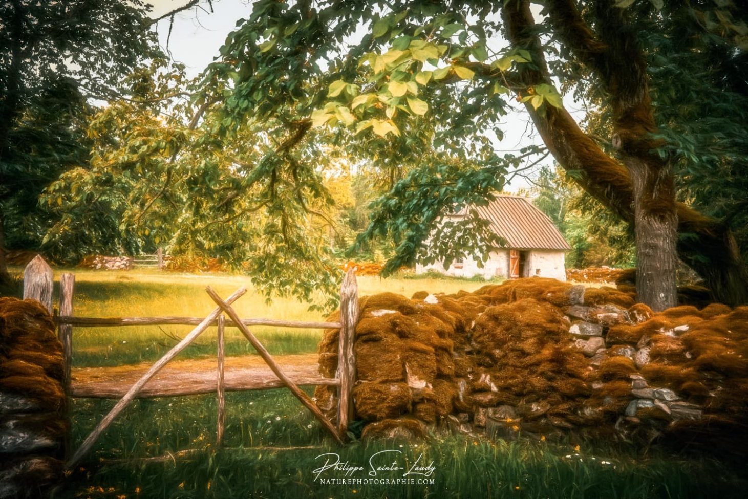 Barrière en bois devant une ferme en Estonie