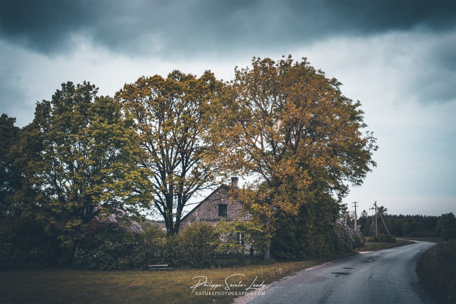 Ferme cachée dans la campagne Estonienne