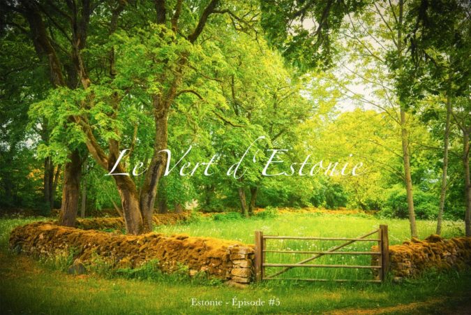 Nature Verte Verdure en Estonie
