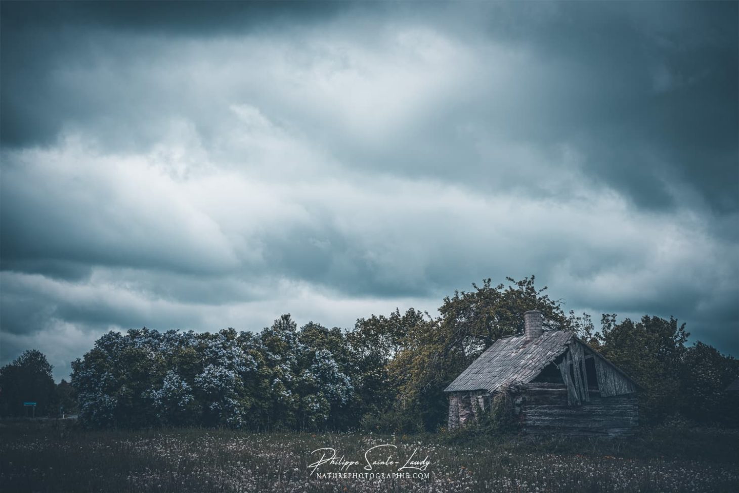 LES PLUS BELLES PHOTOS DE NATURE PHOTOGRAPHIE