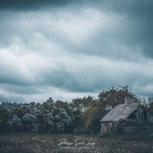 Off My Mind Paysage d'Estonie