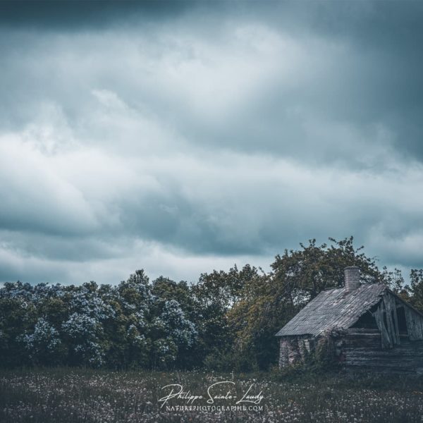 Off My Mind Paysage d'Estonie