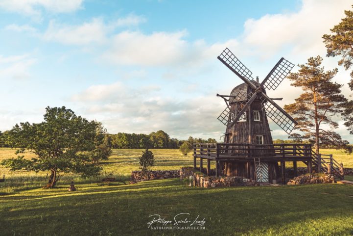 Un moulin d'Estonie à l'heure dorée