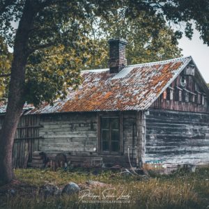 Ordinary Life Ferme Estonienne