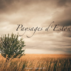 Photos de paysages d'Estonie