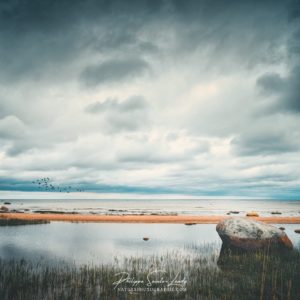 Poetry on Nature Paysage d'orage en bordure de mer - Golfe de Finlande