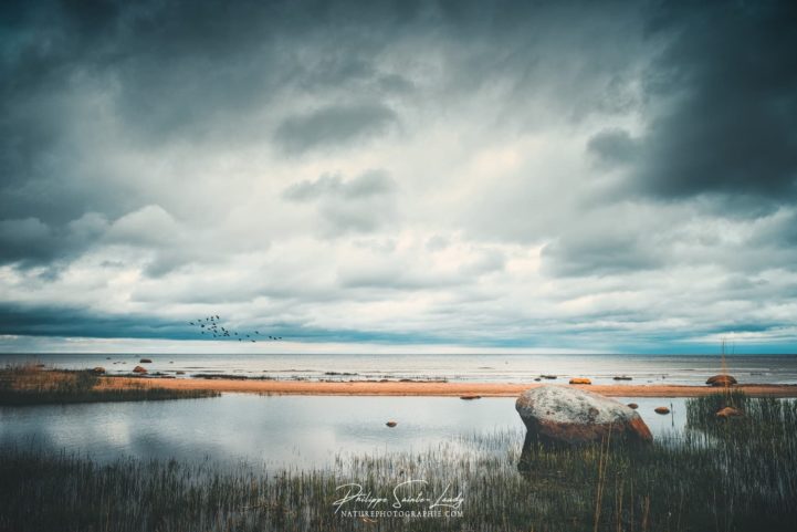 Paysage d'orage en bordure de mer - Golfe de Finlande