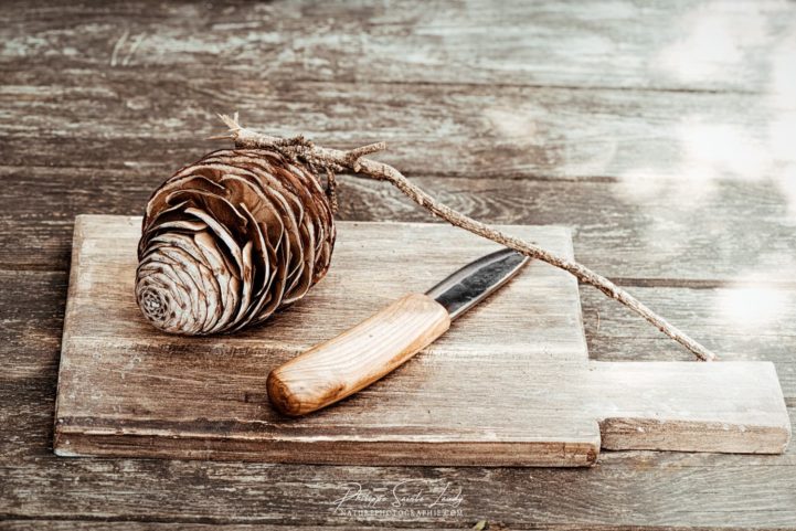 Une pomme de pin qui se prenait pour un pain