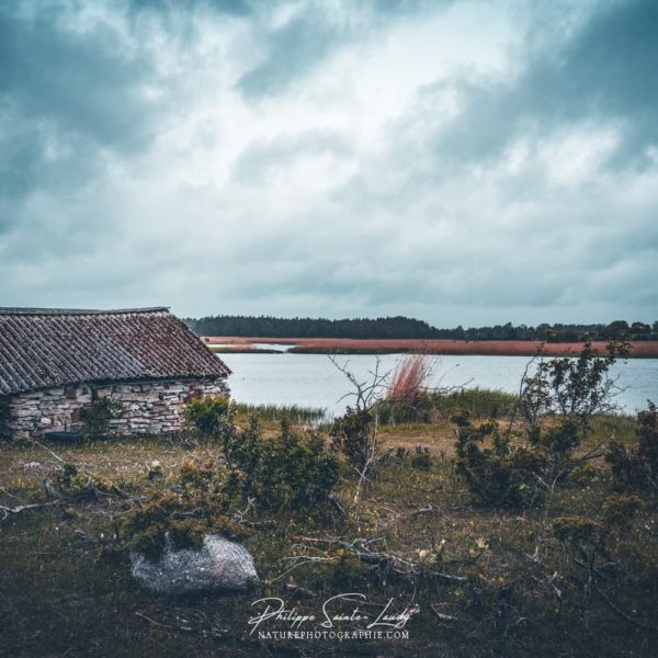 Rhythm & Blues Vieille maison dans le golfe de Finlande