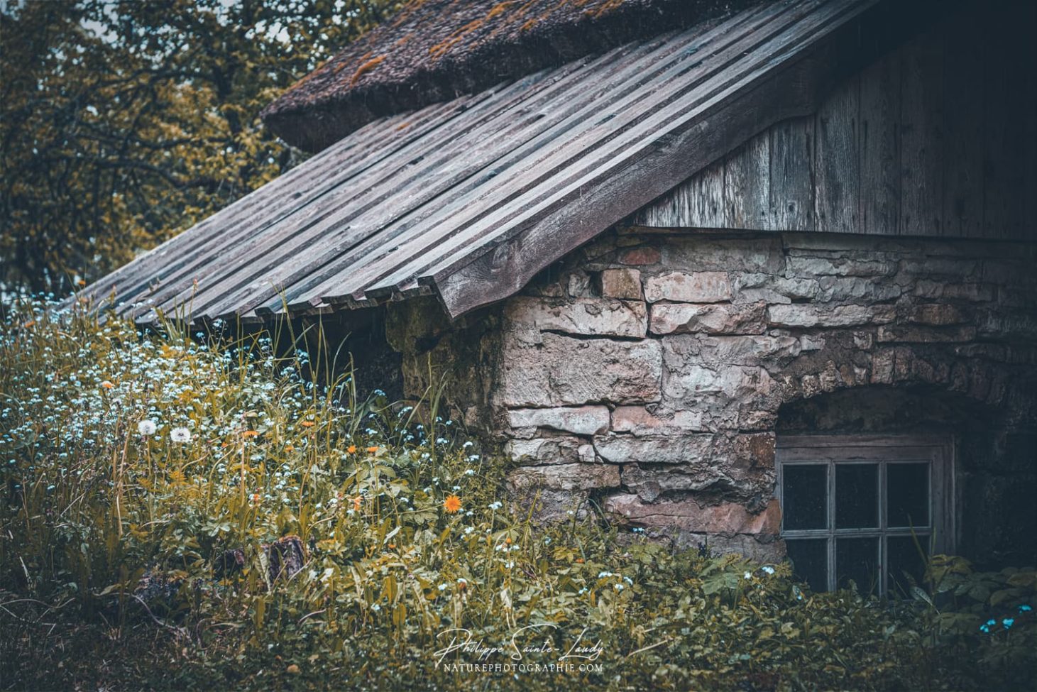 Détail d'une ferme en Estonie
