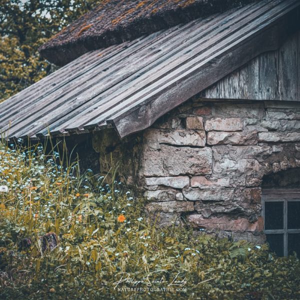 Secret Place Détail d'une ferme en Estonie