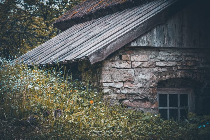 Détail d'une ferme en Estonie