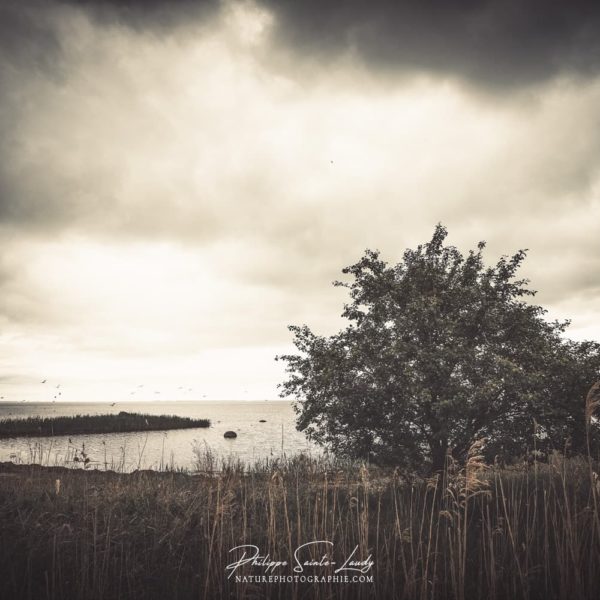 See No Evil Photo de paysage en bordure de la mer baltique