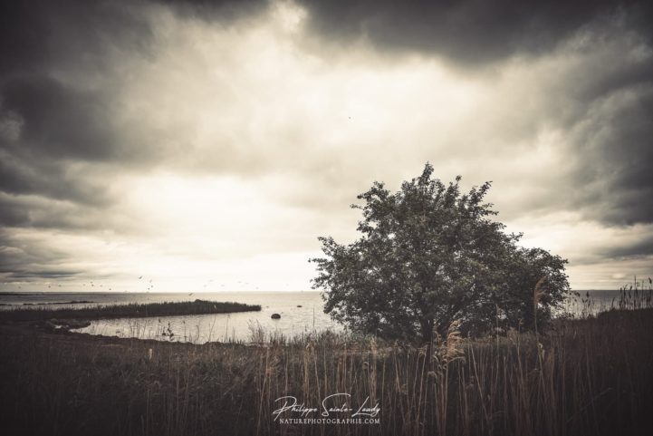 Photo de paysage en bordure de la mer baltique
