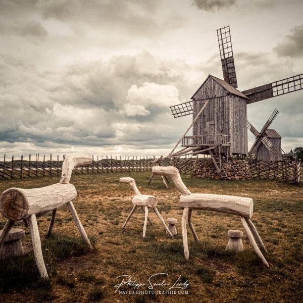 Spirit of Don Quixote L'esprit de Don Quichote dans les moulins d'Angla