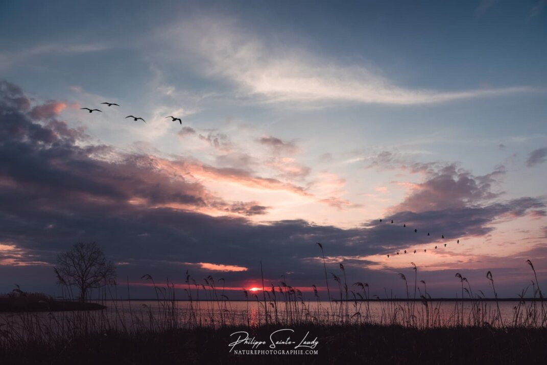 Coucher de soleil en Estonie