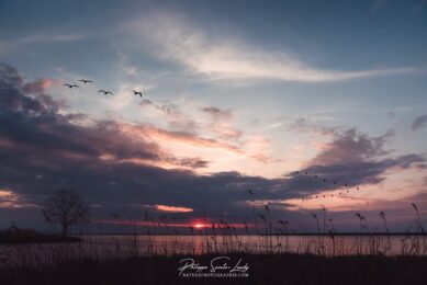Coucher de soleil en Estonie