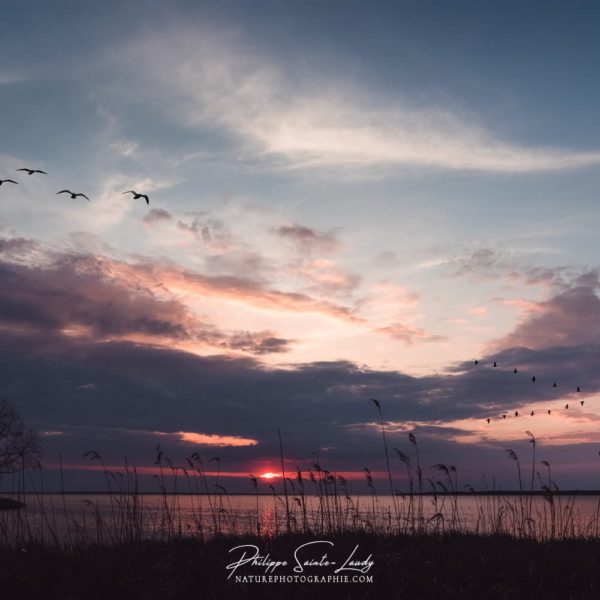 Sunset in Estonia Coucher de soleil en Estonie