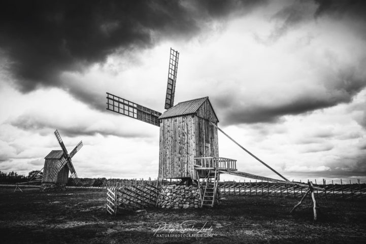 Moulins à vent en noir et blanc à Angla - Estonie