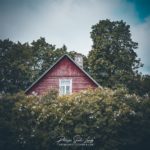 Une maison Estonienne cachée dans les lilas