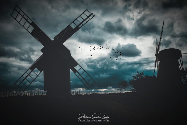 Moulins à vent en contre-jour