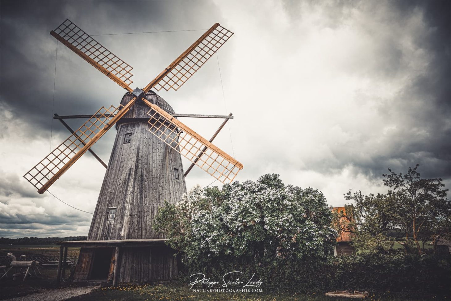Moulins à vent d'Estonie
