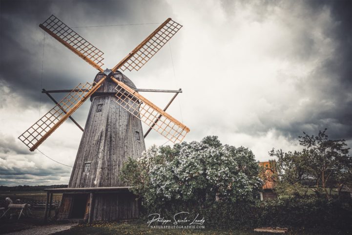 Moulins à vent d'Estonie