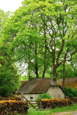 Une ferme dans la nature Estonienne