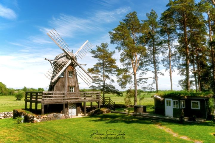 Un moulin à vent dans la campagne verte d'Estonie