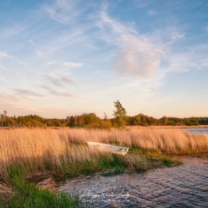 World Peace Fin de journée à Mahu en Estonie devant un paysage bucolique