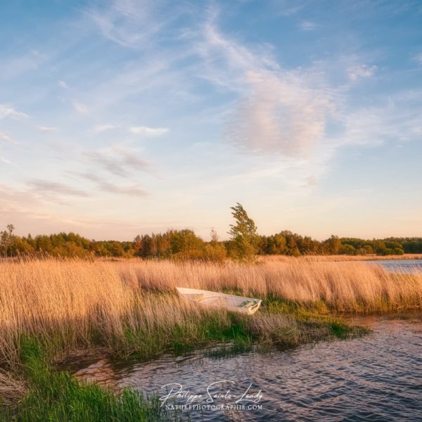 World Peace Fin de journée à Mahu en Estonie devant un paysage bucolique